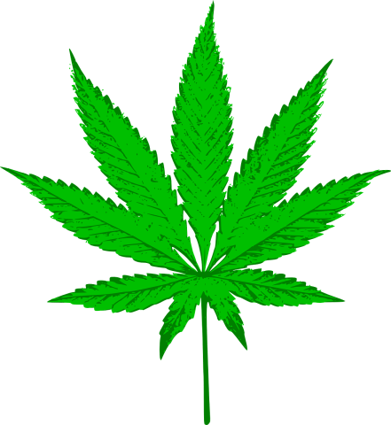 cannabis_PNG43